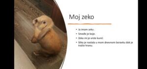 3 mjesto Kunić